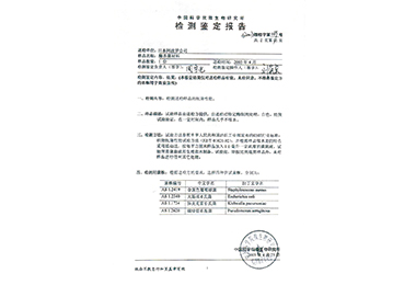 Chinese Academy of Sciences test report